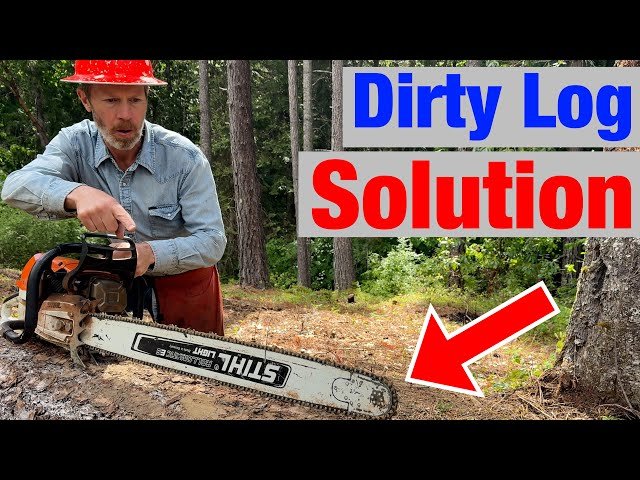 How to Avoid Dulling Chainsaw Chain: Expert Tips for Lasting Sharpness ...