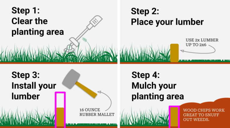 How to Install Lawn Edging: Easy Steps for a Perfect Yard - YardGears