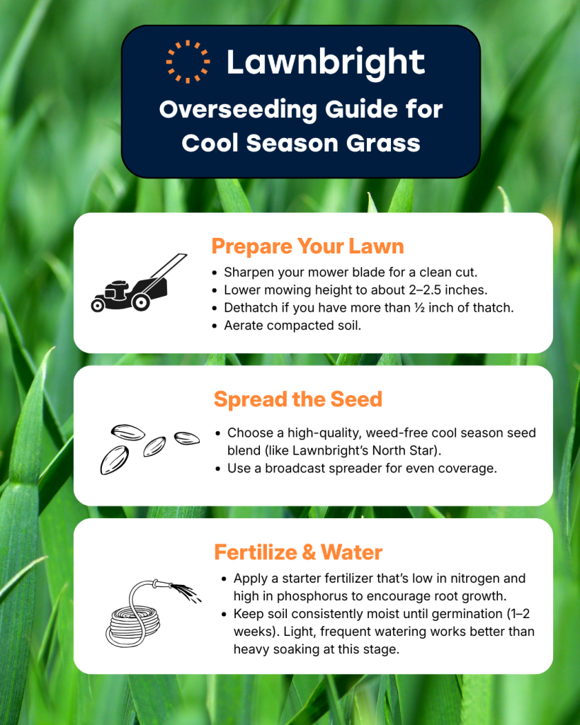 How to Overseed a Lawn Without Spreader: Easy DIY Tips - YardGears