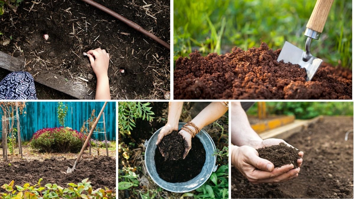 How to Prepare Backyard Soil before Seeding: Expert Tips for Success ...