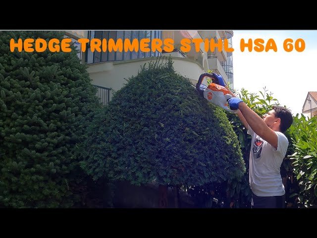 How to Shape Topiary With Hedge Trimmer: Expert Tips & Tricks - YardGears
