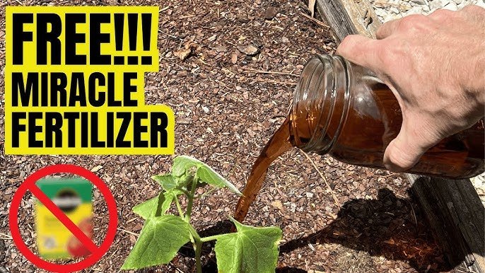 How to Spread Fertilizer Evenly: Expert Tips for Lush Growth - YardGears