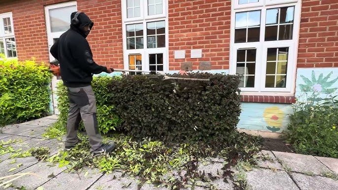 How to Trim Hedges Without Damaging Windows: Expert Tips - YardGears