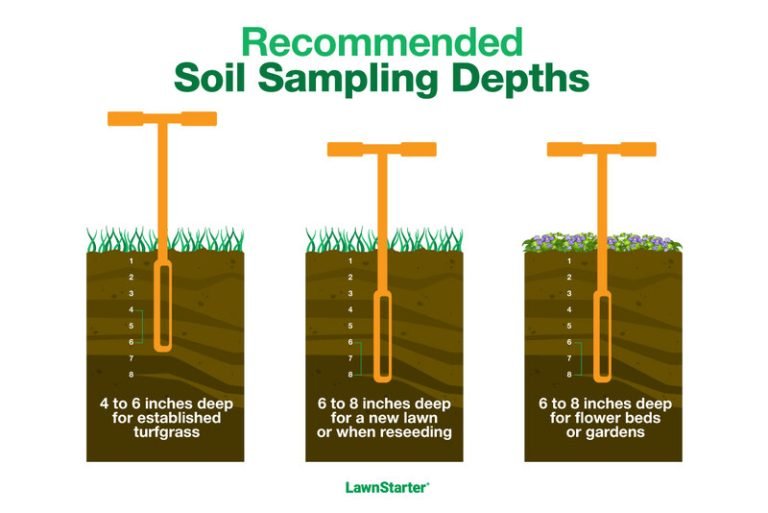 How to Use a Soil Nutrient Test Kit: Easy Steps for Healthy Plants ...