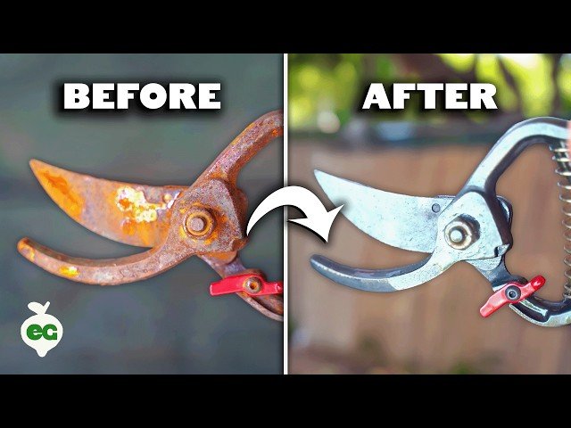 Should You Disinfect Pruning Shears: Essential Tips for Healthy Plants