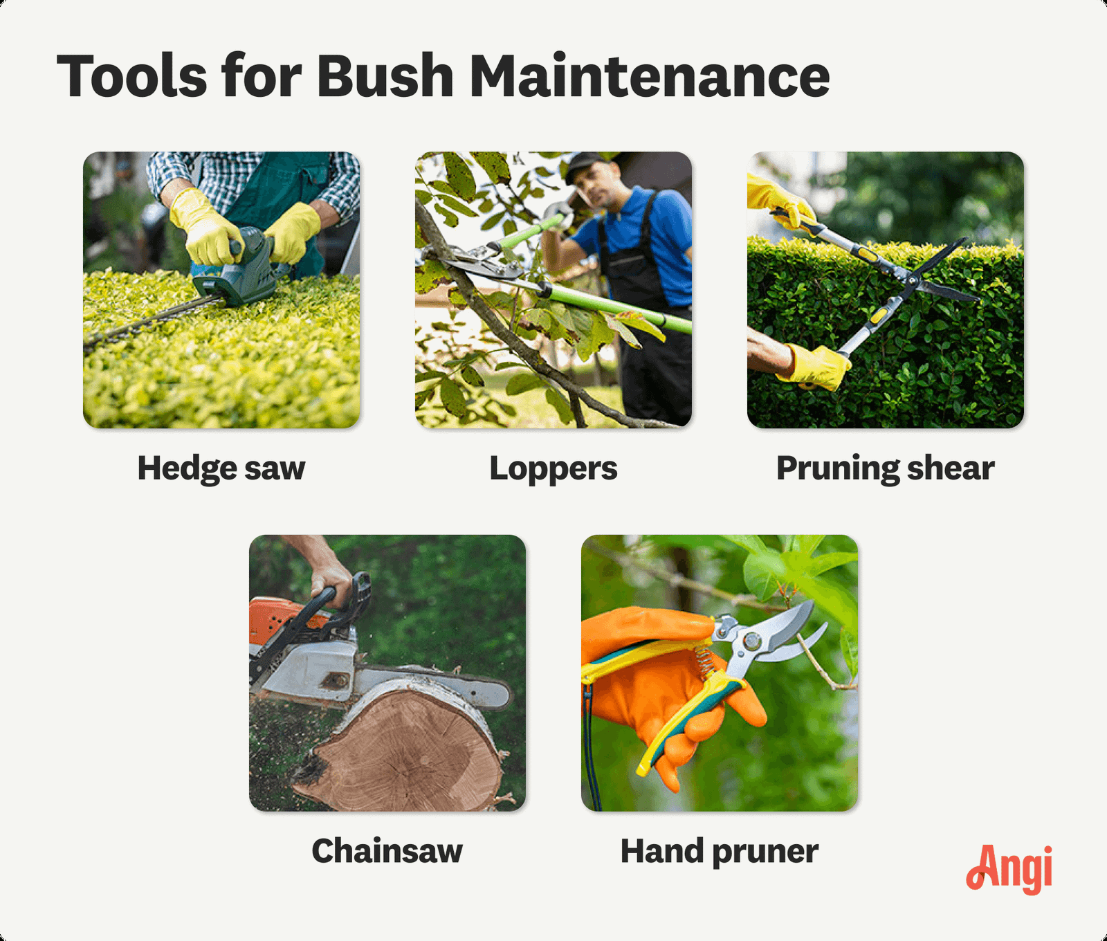 Step by Step Guide to Pruning a Bush: Easy Tips for Perfect Growth ...