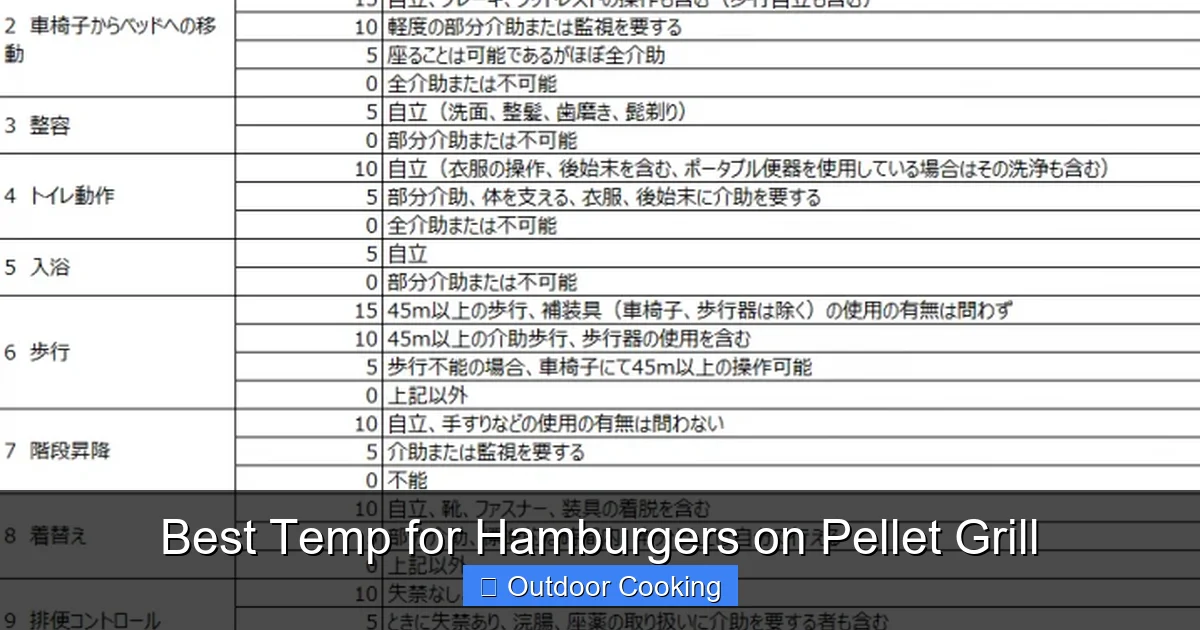 Best Temp for Hamburgers on Pellet Grill