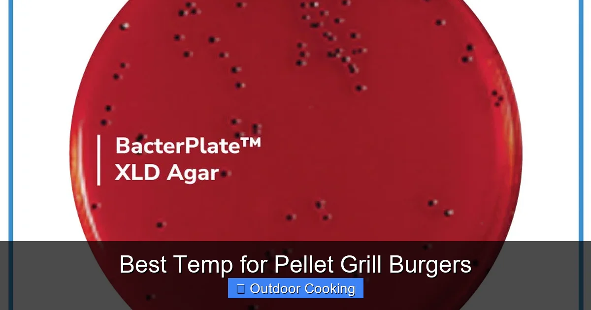 Best Temp for Pellet Grill Burgers