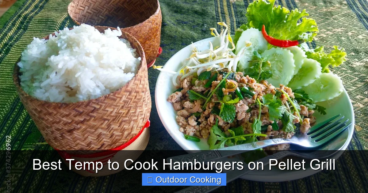 Best Temp to Cook Hamburgers on Pellet Grill