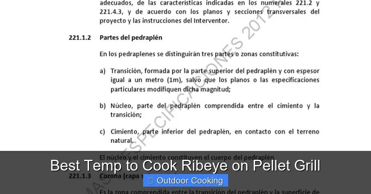 Best Temp to Cook Ribeye on Pellet Grill