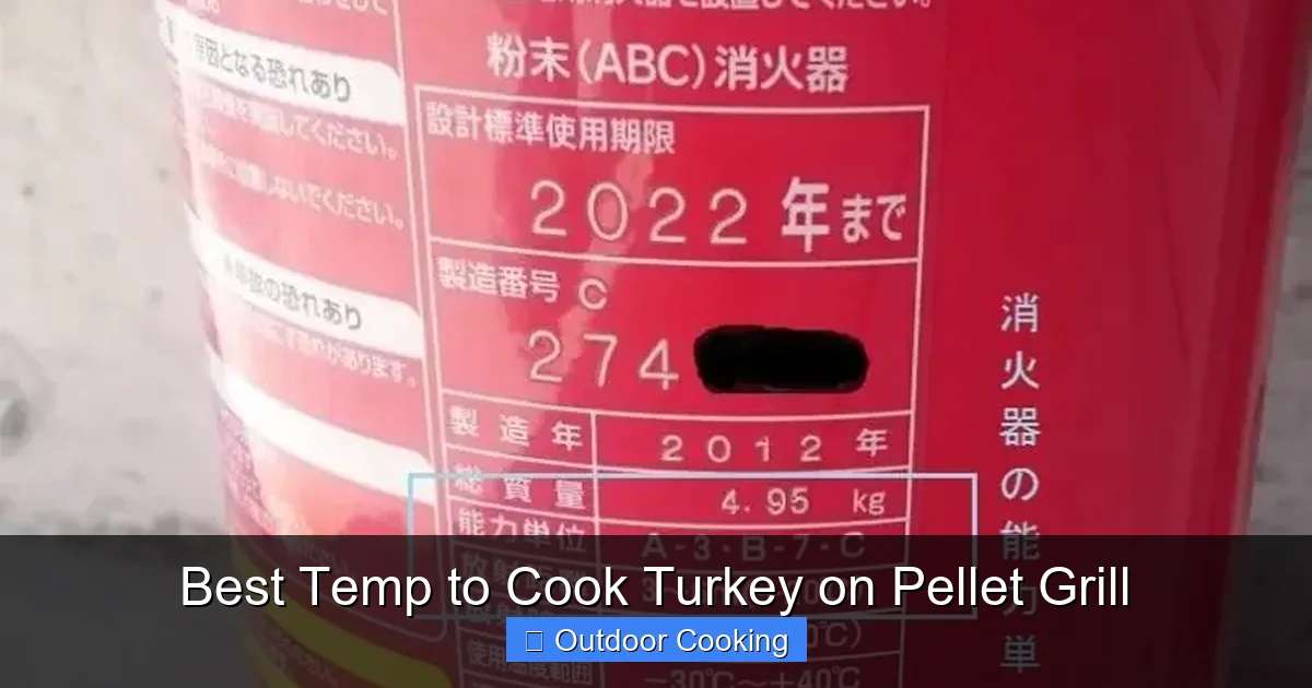 Best Temp to Cook Turkey on Pellet Grill