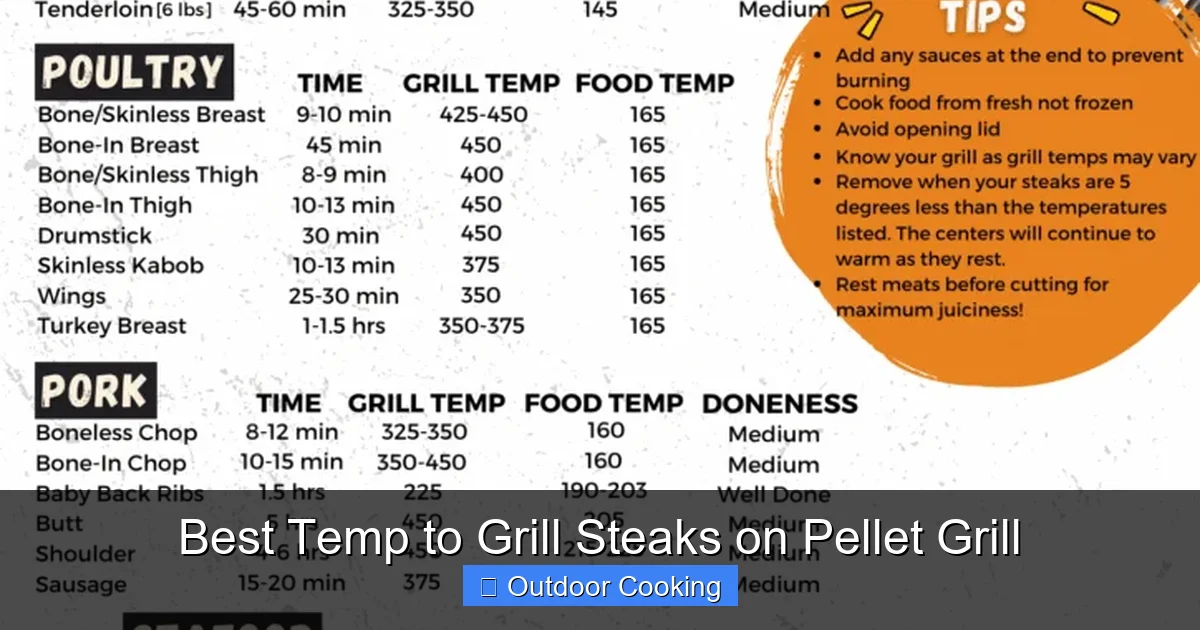 Best Temp to Grill Steaks on Pellet Grill