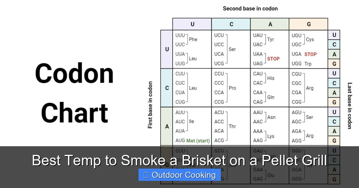 Best Temp to Smoke a Brisket on a Pellet Grill