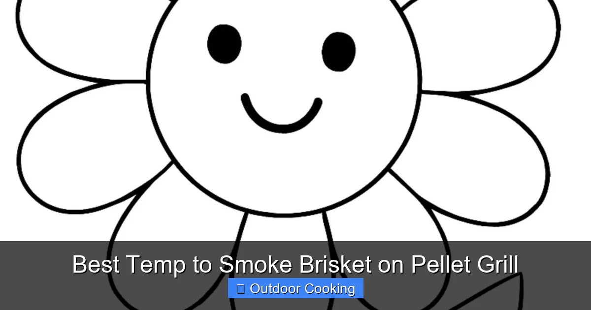 Best Temp to Smoke Brisket on Pellet Grill
