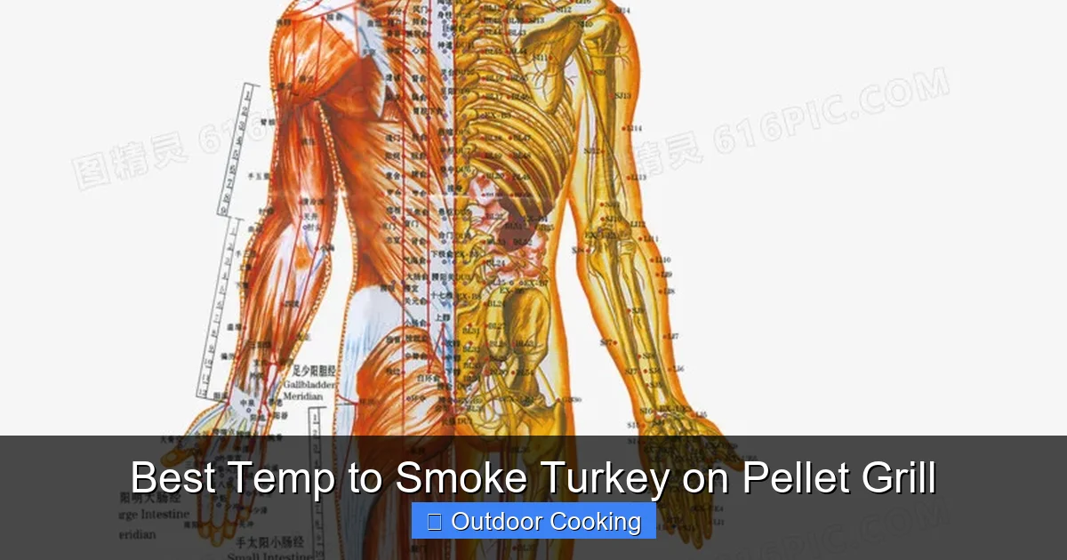 Best Temp to Smoke Turkey on Pellet Grill