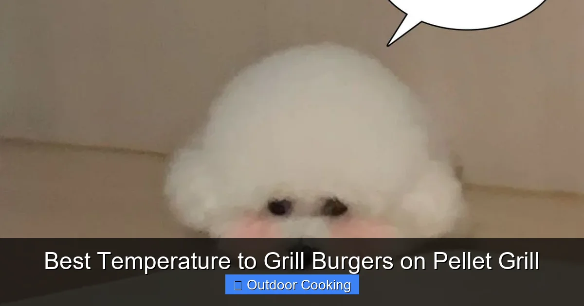 Best Temperature to Grill Burgers on Pellet Grill