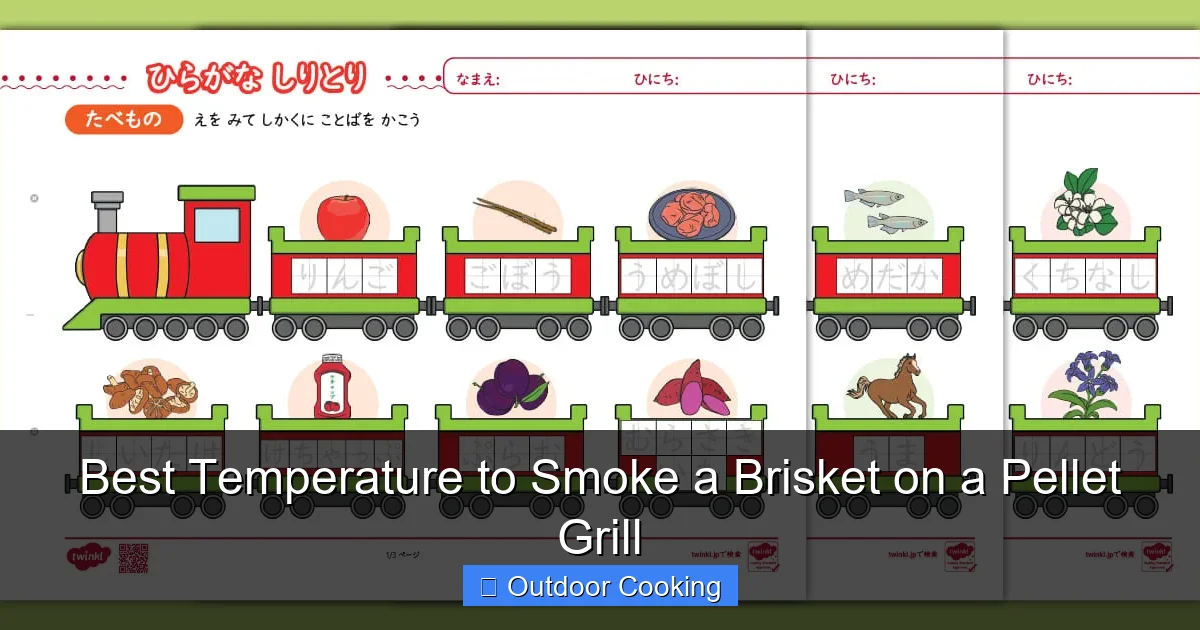 Best Temperature to Smoke a Brisket on a Pellet Grill