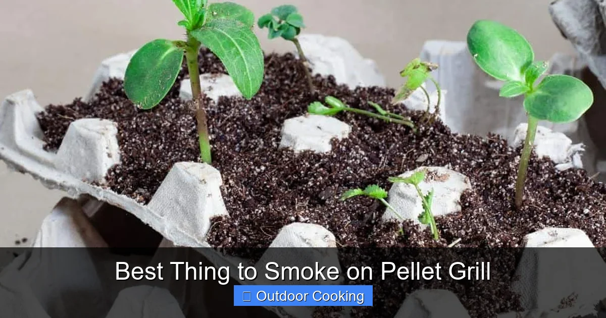 Best Thing to Smoke on Pellet Grill