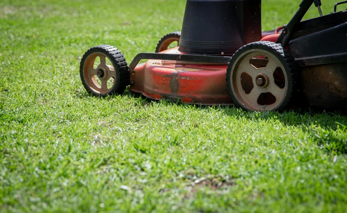 dull vs sharp lawn mower blade