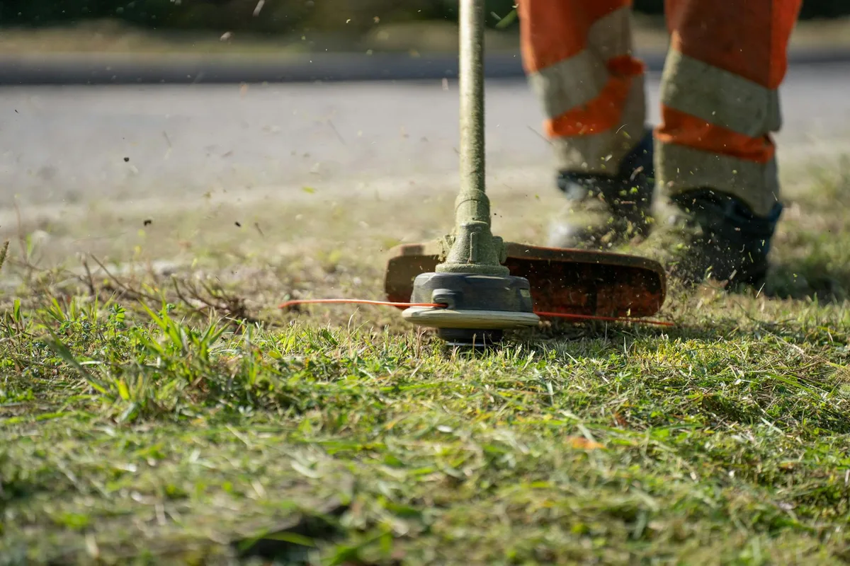 gas vs electric string trimmer