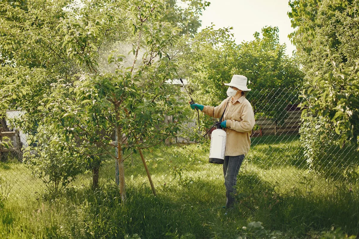 glyphosate herbicide application