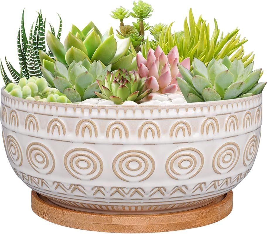 Eightpot 8 Inch White Ceramic Shallow Round Planter Pot with Drainage 