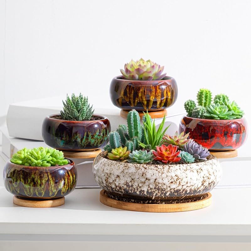 5 Pcs 7.3'' & 4'' Drip Glazed Ceramic Shallow Planters with Bamboo Tra
