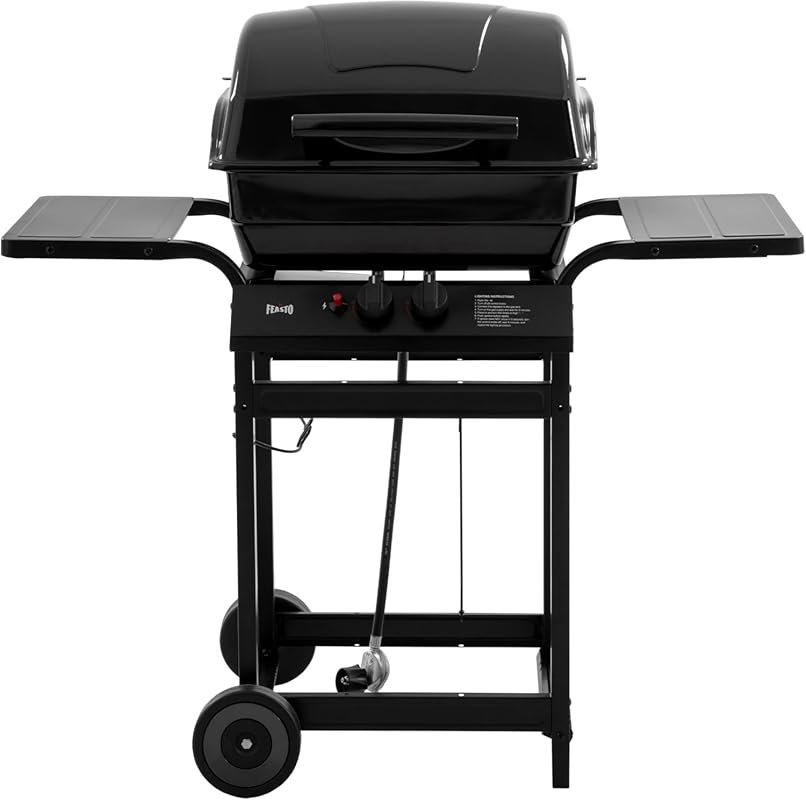Feasto 2-Burner Propane Gas Grill with 26,500 BTUs, Warming Rack & Sid