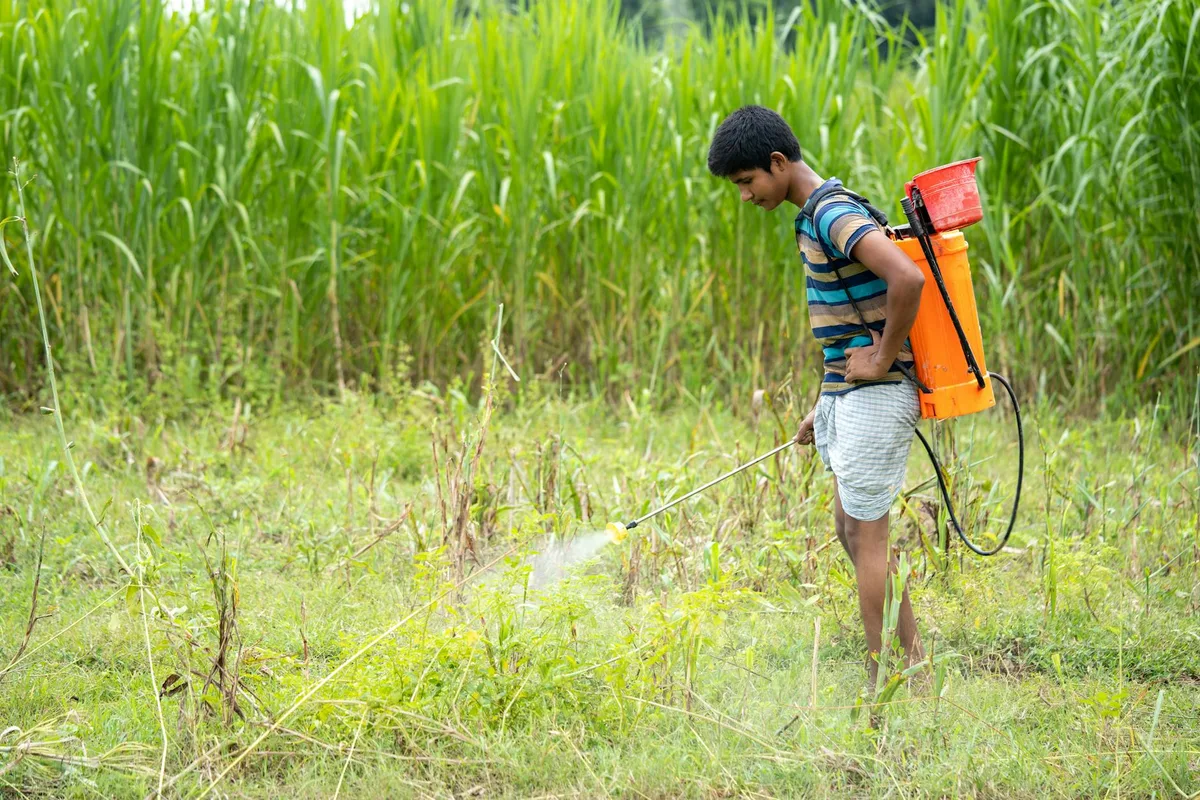 selective vs non-selective herbicide