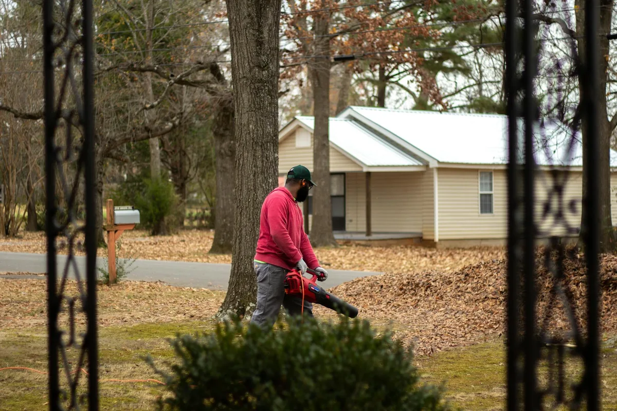 what's the best way to pick up pine needles