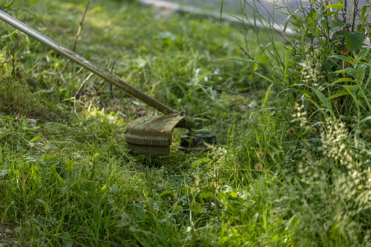 which string trimmer is best