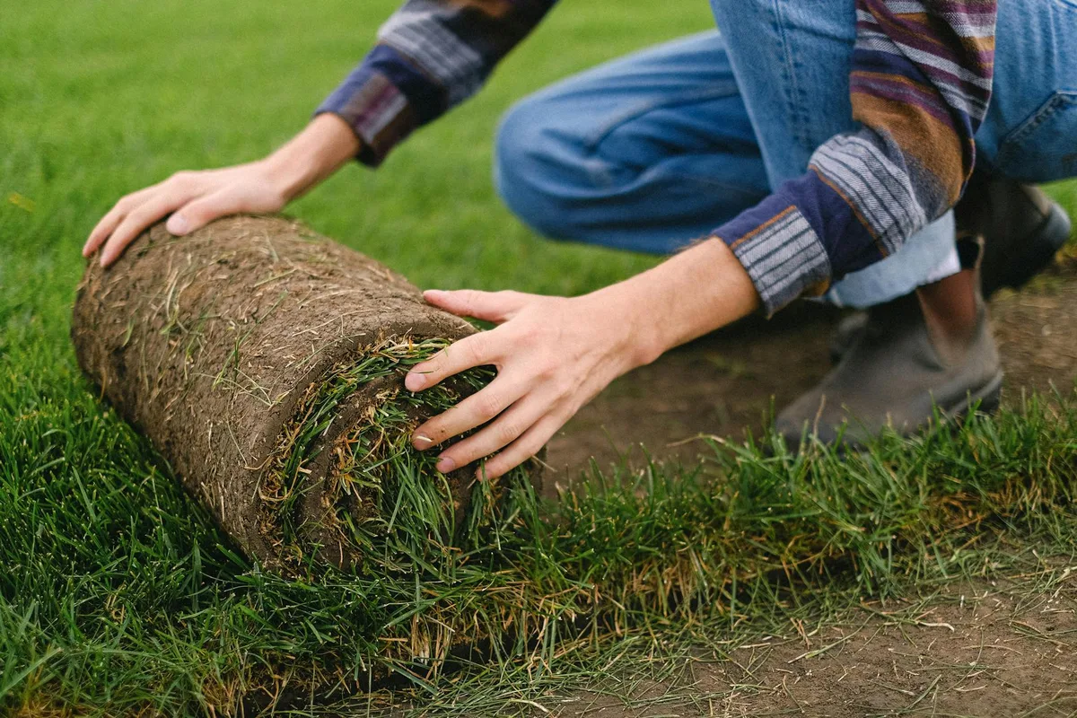 who has best sod laying techniques