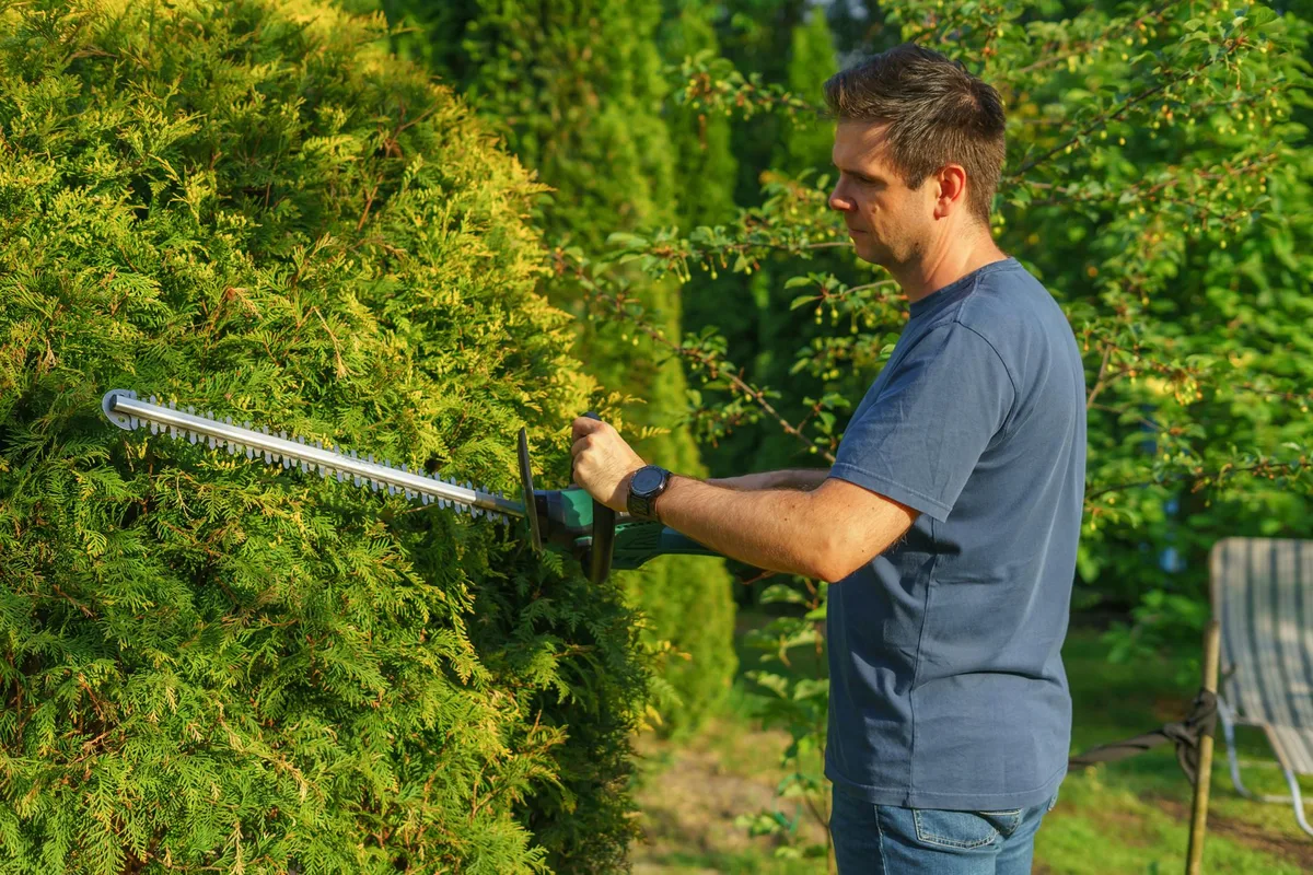 who makes the best cordless hedge trimmer